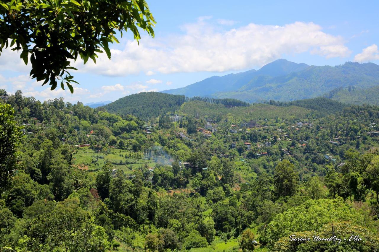 Serene Homestay Ella Exterior photo